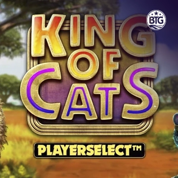King of Cats - PORTBET88
